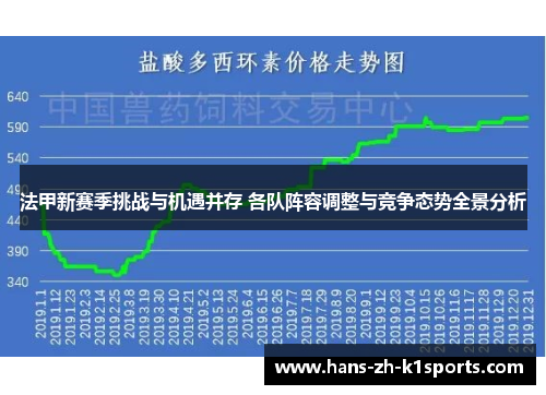 法甲新赛季挑战与机遇并存 各队阵容调整与竞争态势全景分析 法甲新赛季挑战与机遇并存 各队阵容调整与竞争态势全景分析