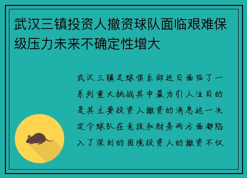 武汉三镇投资人撤资球队面临艰难保级压力未来不确定性增大